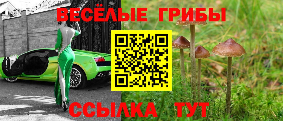 Дзержинский  Псилоцибиновые грибы GOLDEN TEACHER  Галлюциногенные грибы Cubensis  купить наркотики сайты  Вход с VPN 